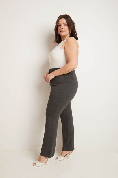 Secret Figure Curvy Tummy Control Pants